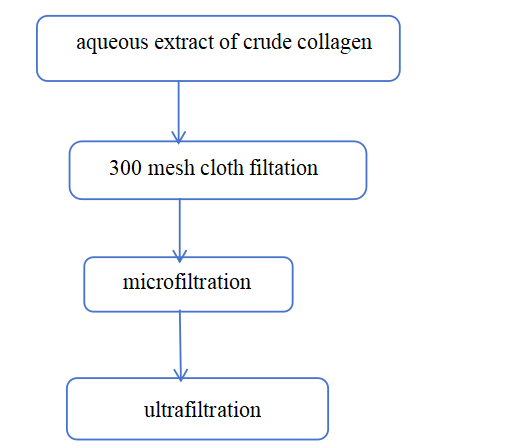 info-521-447 info-521-447
