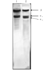 info-152-239 info-152-239